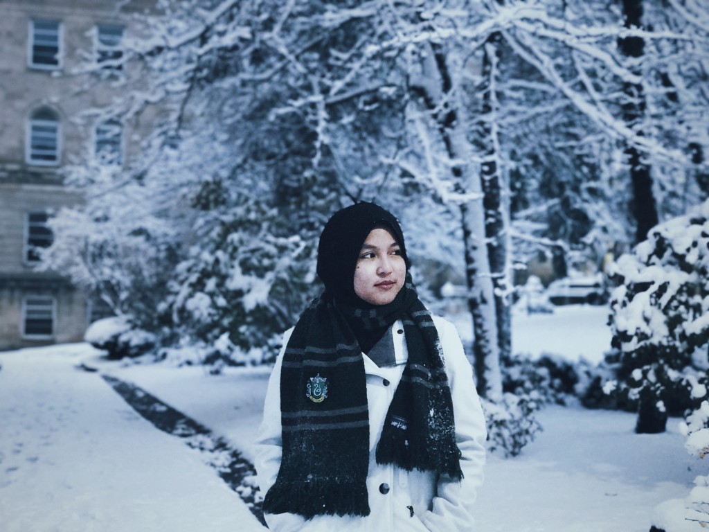 Snow in Madison, Winter Wonderland, Wisconsin